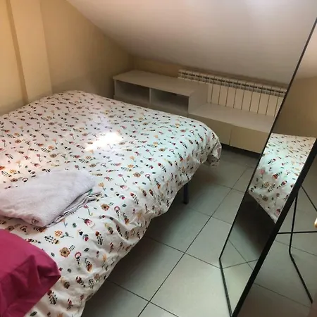 Atico Plaza San Martin/plaza Mayor * León